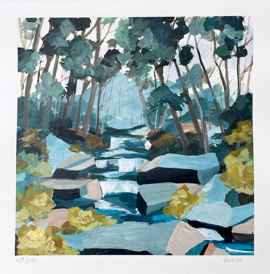 Local Landscapes #47 Bear Drive Branch -NC