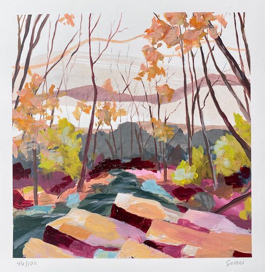 Local Landscapes #46 West Fork, Little River -TN