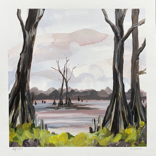 Local Landscapes #51 Cypress Creek -AL