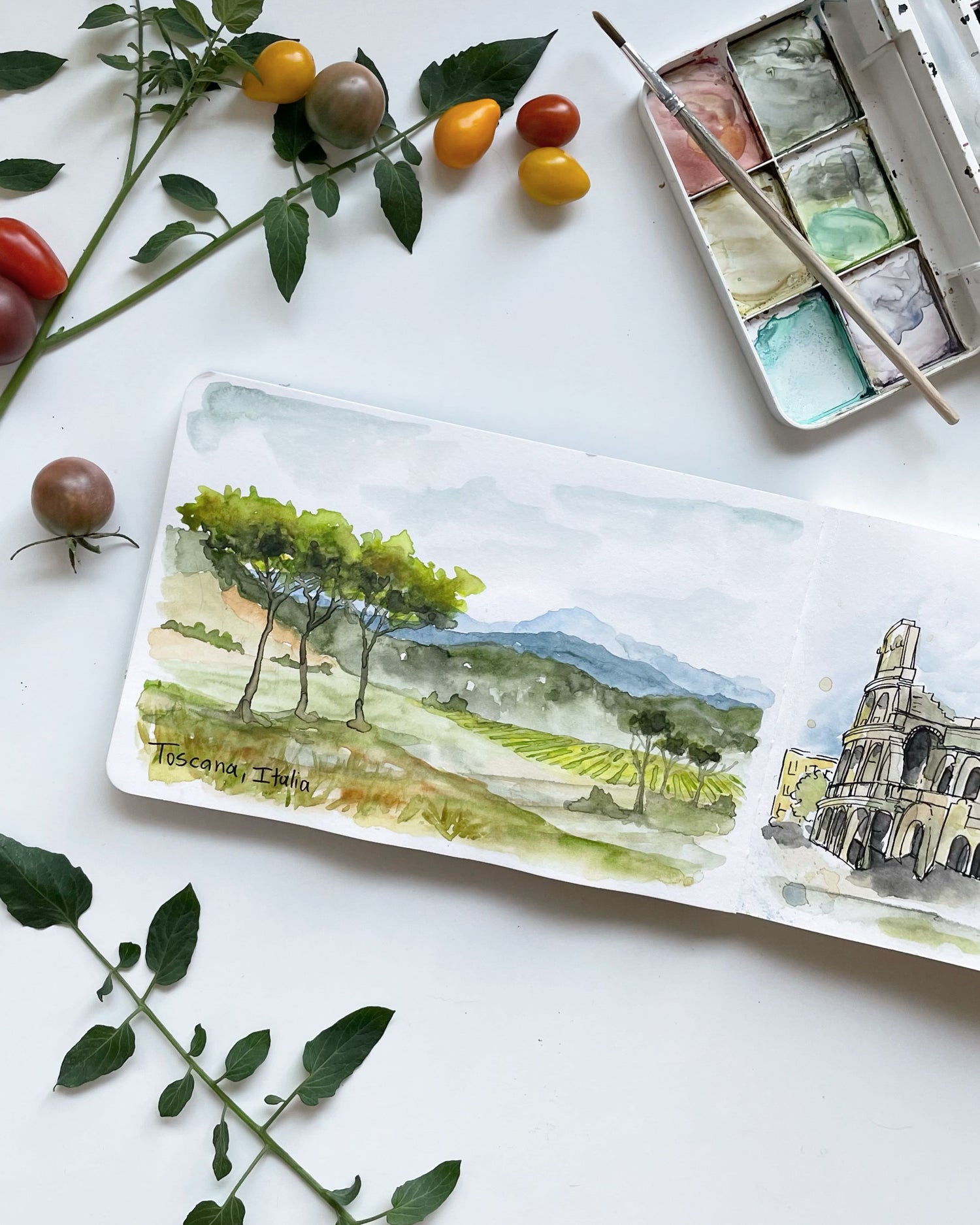 Tuscany fields and trees watercolor painting inside a sketchbook with green and blue with tomatoes on table
