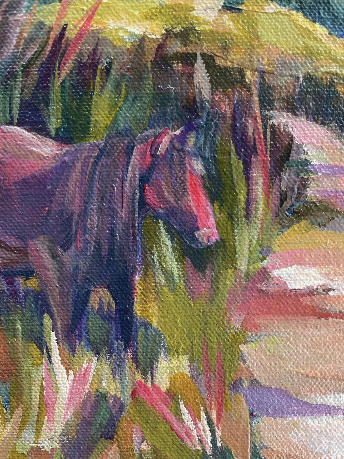 'Highland Pony' on Canvas 10x10”
