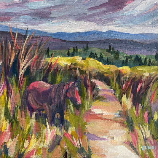 'Highland Pony' on Canvas 10x10”