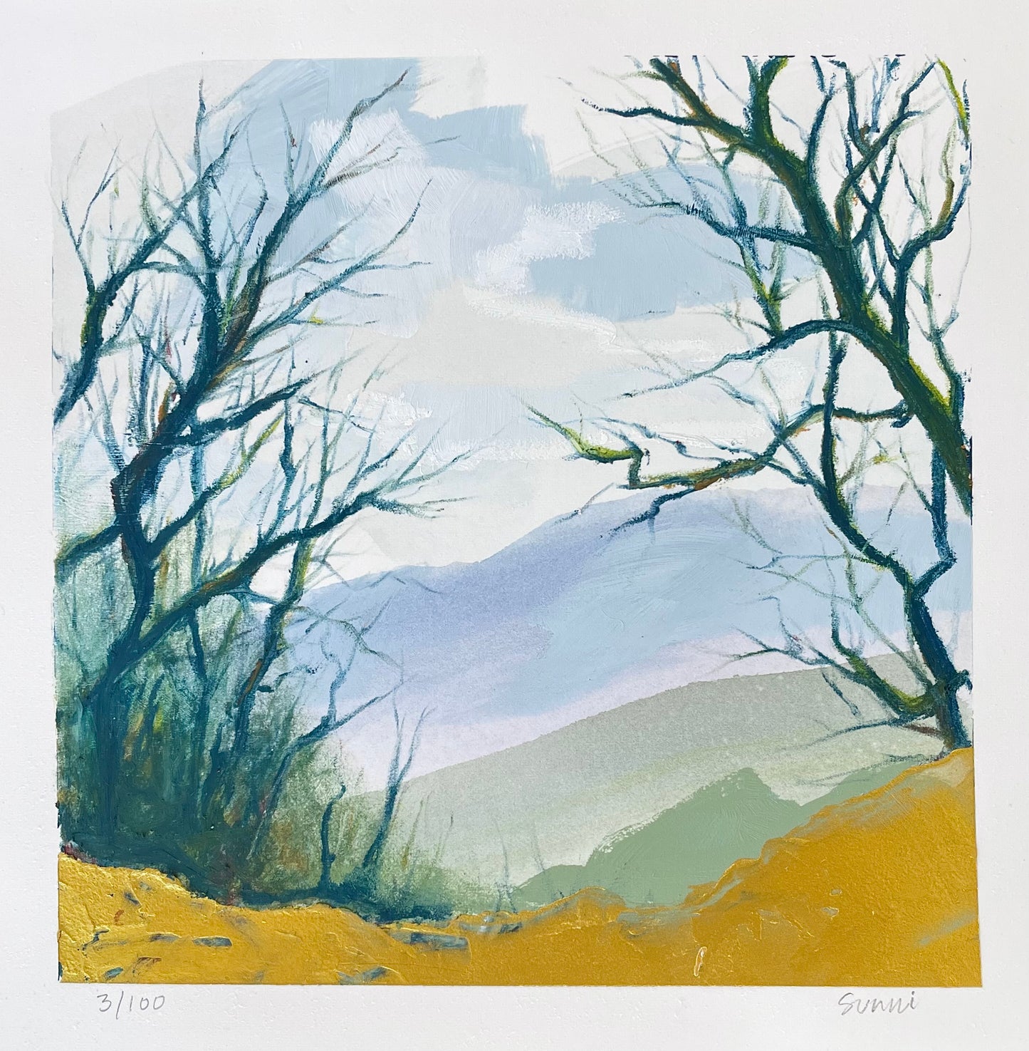 Local Landscapes #3: Rocky Top -TN