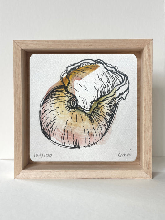 No. 100- Watercolor and Ink, Wonderness Project