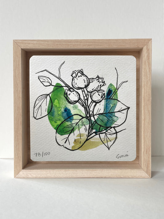 No. 78- Watercolor and Ink, Wonderness Project