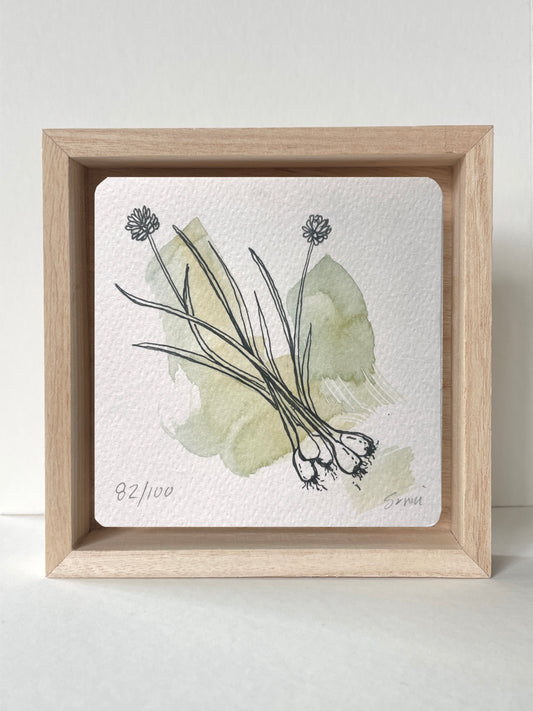 No. 82- Watercolor and Ink, Wonderness Project