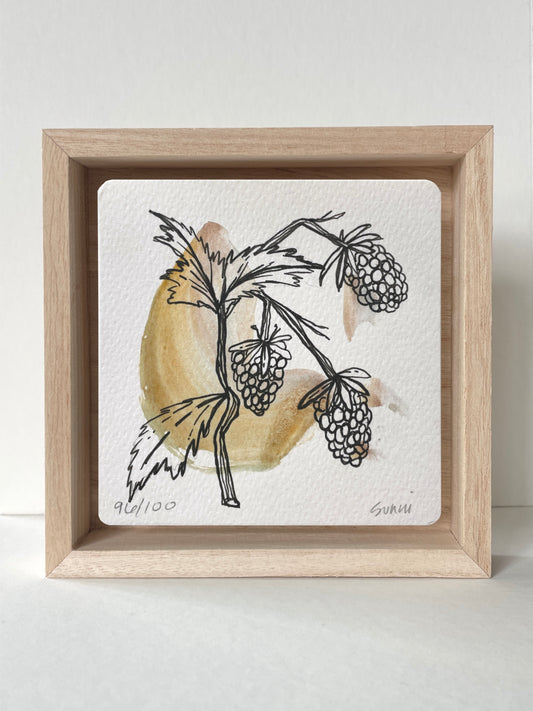 No. 96- Watercolor and Ink, Wonderness Project