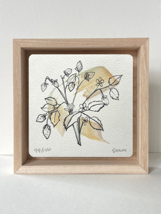 No. 99- Watercolor and Ink, Wonderness Project