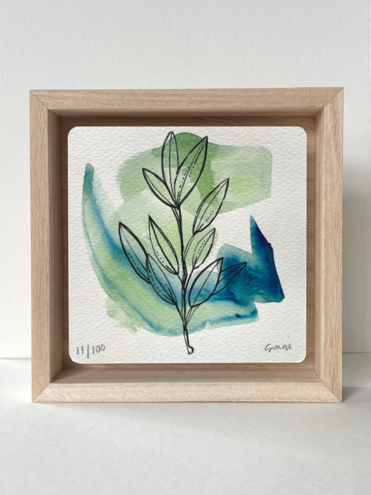 No. 11- Watercolor and Ink, Wonderness Project