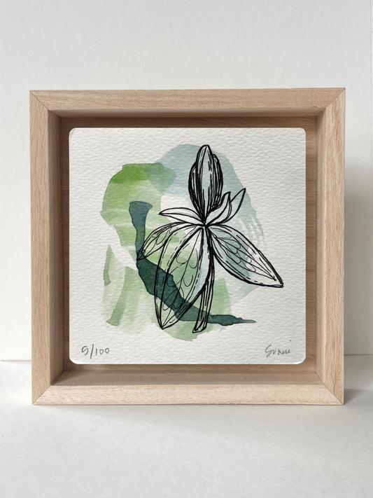 No. 5- Watercolor and Ink, Wonderness Project