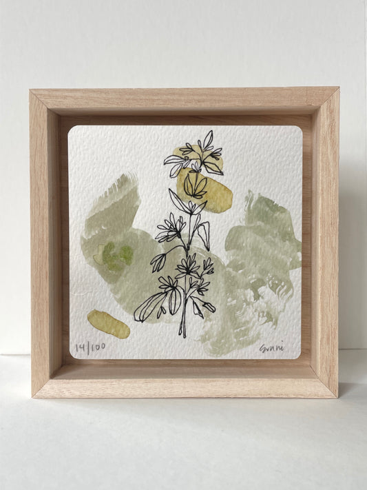 No. 14- Watercolor and Ink, Wonderness Project